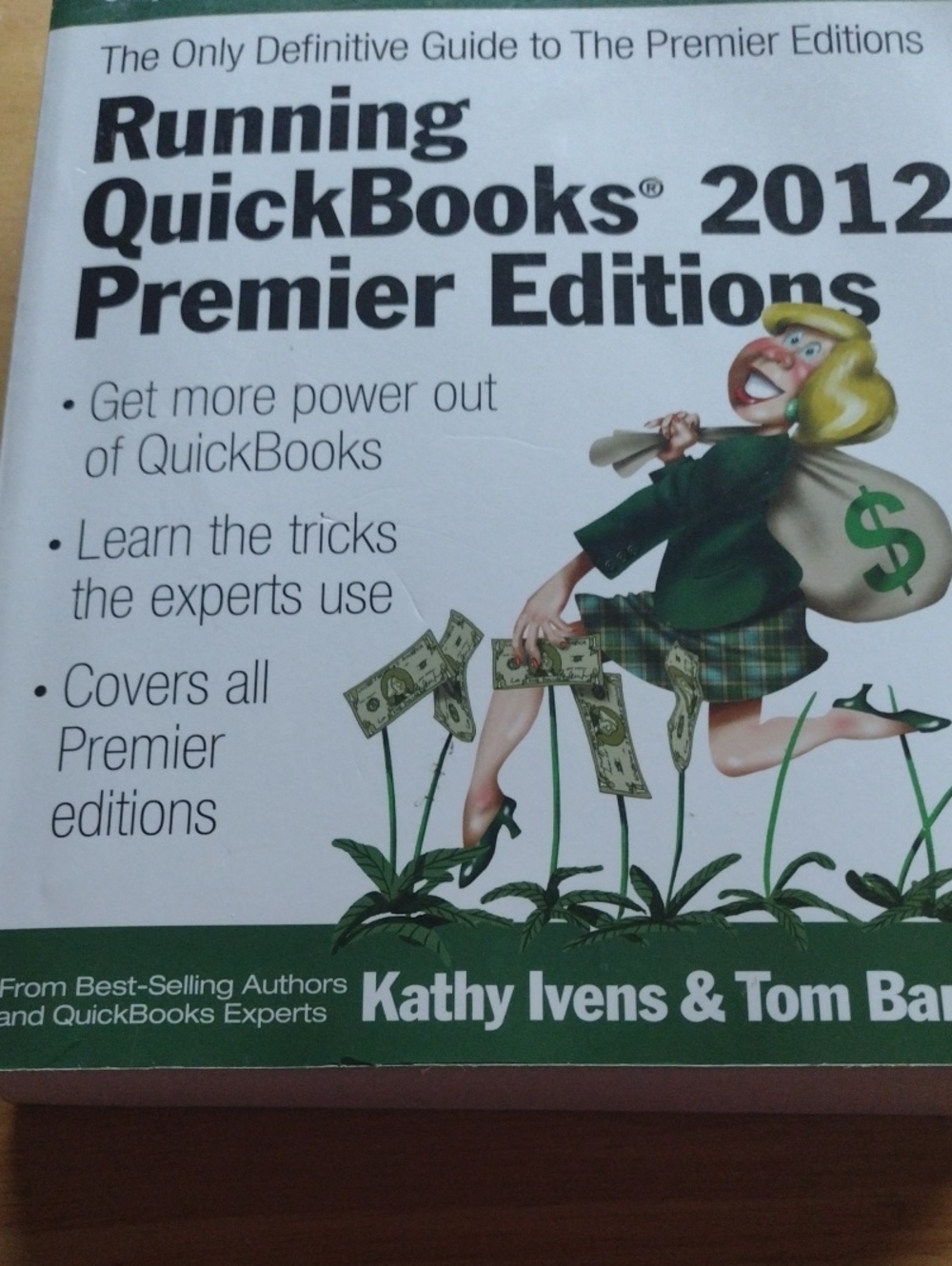 QuickBooks 2012 Premier Editions Party Poster - Green